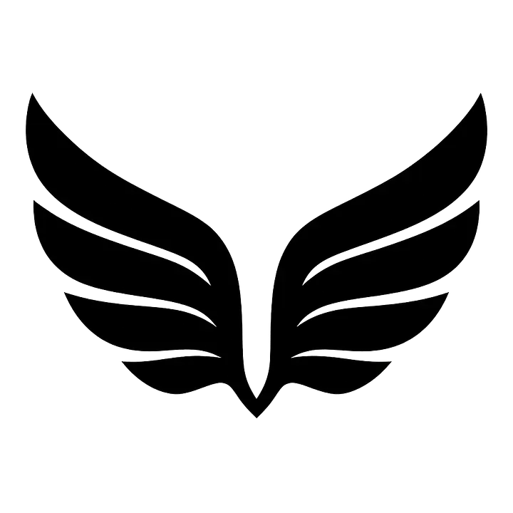 Flügel Paar Symbol Autoaufkleber - Master